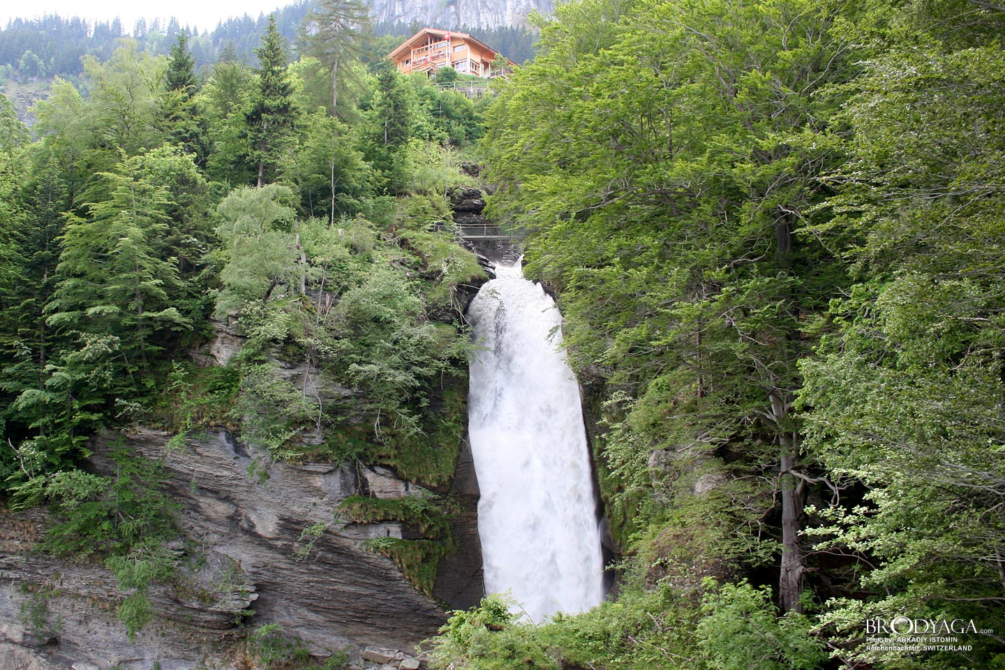 Reichenbachfall